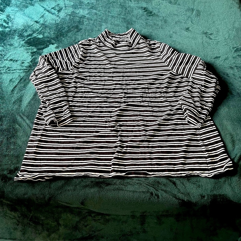 Plus Size Turtleneck
